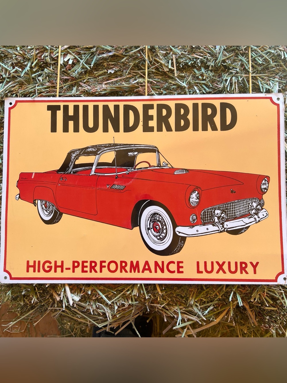 Red Vintage Thunderbird Metal Wall Sign